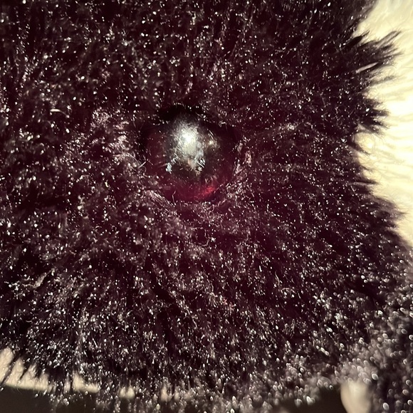 30” Whale stuffed animal toy - Picture 5 of 8